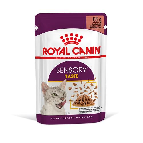 48x 85g Royal Canin Sensory Taste in Soße Katzenfutter nass