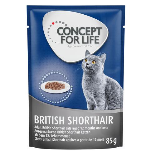 48x85 g British Shorthair Adult Ragout-Qualität Concept for Life Katzenfutter nass