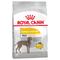 2x12kg Royal Canin CCN Dermacomfort Maxi Hundefutter trocken
