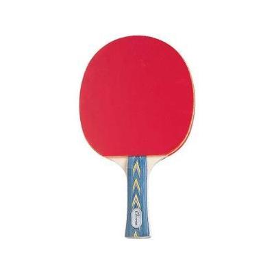 Champion Sports PN14 Table Tennis Racket