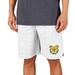 Men's Concepts Sport White/Charcoal North Carolina A&T Aggies Throttle Knit Jam Shorts