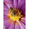 Du913 - Das Kulturmagazin. Bienen, Taschenbuch