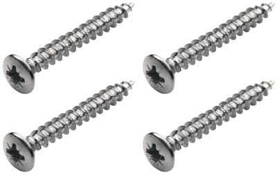 Warwick Screws Bolt-On Necks/Gurt CH