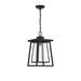 Savoy House Denver 16 Inch Tall Outdoor Hanging Lantern - 5-2025-BK