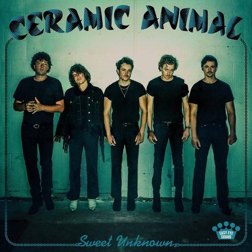 Sweet Unknown - Ceramic Animal, Ceramic Animal. (LP)