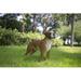 Hi-Line Gift Ltd. Boxer Dog Standing in Brown/White | 13.78 H x 5.51 W x 16.65 D in | Wayfair 87748-A