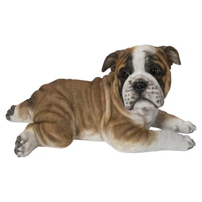 Lying Bulldog Pup