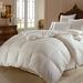 Downright Himalaya 800 Lightweight Down Comforter Goose Down, Cotton in White | 86 H x 86 W in | Wayfair MR8623SIB