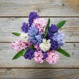 Parade Bouquet - Grand - The Bouqs Co.