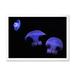 East Urban Home Purple Jellyfish on Black - Print on Canvas Metal in Black/Blue | 30 H x 40 W x 1.5 D in | Wayfair 13DA1B9FE56D404FB5C15DCBE4F92ED1