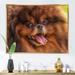 East Urban Home Drawing Dog German Pomeranian - Painting on Canvas Metal in Brown | 16 H x 32 W x 1 D in | Wayfair B047986C894F461899810578B42849AF