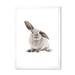 East Urban Home Portrait of a Rabbit on White II - Photograph on Canvas Canvas, Cotton in Black/Gray/White | 20 H x 12 W x 1 D in | Wayfair