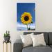 Rosalind Wheeler Face Of Sunflower Under Blue Sky 2 - 1 Piece Rectangle Graphic Art Print On Wrapped Canvas in White | 36 H x 24 W x 2 D in | Wayfair