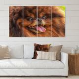 Red Barrel Studio® Drawing Dog German Pomeranian - 4 Piece Wrapped Canvas Graphic Art Canvas in Brown | 28 H x 48 W x 1 D in | Wayfair