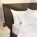 Casper Sleep Essential Pillow Polyester/Polyfill/100% Cotton | 18 H x 26 W x 18 D in | Wayfair 951-000212-001