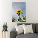 Gracie Oaks Yellow Sunflower In Bloom During Daytime 68 - 1 Piece Rectangle Graphic Art Print On Wrapped Canvas in Green/Yellow | Wayfair