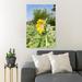 Gracie Oaks Yellow Sunflower In Bloom During Daytime 5 - 1 Piece Rectangle Graphic Art Print On Wrapped Canvas in Brown | Wayfair