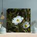 Latitude Run® White Flower In Tilt Shift Lens 5 - 1 Piece Rectangle Graphic Art Print On Wrapped Canvas in Green/White | Wayfair