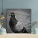 Latitude Run® Gray & White Bird On Gray Floor - 1 Piece Rectangle Graphic Art Print On Wrapped Canvas in Gray/White | 12 H x 12 W x 2 D in | Wayfair