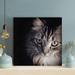 Latitude Run® Closed Up Photography Of Tabby Cat - 1 Piece Square Graphic Art Print On Wrapped Canvas in Black/Brown/Gray | Wayfair