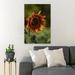 Gracie Oaks Yellow Sunflower In Bloom During Daytime 54 - 1 Piece Rectangle Graphic Art Print On Wrapped Canvas in Green/Yellow | Wayfair