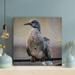 Latitude Run® Brown & Gray Bird On Gray Bar - 1 Piece Rectangle Graphic Art Print On Wrapped Canvas in Black/Gray | 12 H x 12 W x 2 D in | Wayfair
