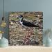 Bayou Breeze Black Crowned Crane On Brown Ground During Daytime - 1 Piece Rectangle Graphic Art Print On Wrapped Canvas in Black/Green/Pink | Wayfair
