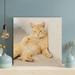 Red Barrel Studio® Orange Tabby Cat Lying On Gray Floor - 1 Piece Square Graphic Art Print On Wrapped Canvas in Brown | Wayfair