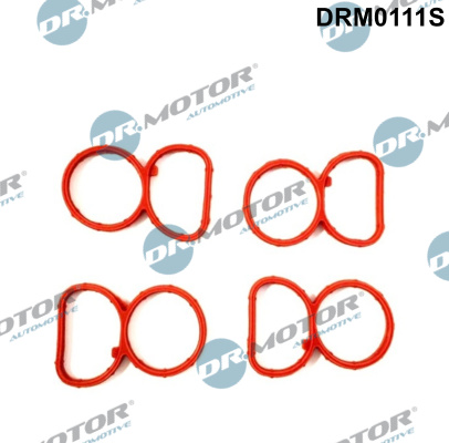 Dr.Motor Automotive Dichtungssatz, Ansaugkrümmer DRM0111S für BMW 11617801438