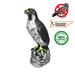 Arlmont & Co. Decorative Falcon Resin/Plastic | 14.75 H x 5.63 W x 9.63 D in | Wayfair B9C8CC2AD8AE45D79786BA7AF70E15E4