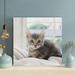 Red Barrel Studio® Silver Tabby Kitten On White Textile 1 - 1 Piece Square Graphic Art Print On Wrapped Canvas in Gray/Green/White | Wayfair