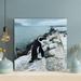 Highland Dunes Black And White Penguin Standing On Gray Rock During Daytime - 1 Piece Square Graphic Art Print On Wrapped Canvas | Wayfair