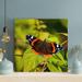 Winston Porter A Butterfly Purching On A Green Leaf - 1 Piece Rectangle Graphic Art Print On Wrapped Canvas in Brown/Green/Orange | Wayfair