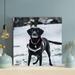 Latitude Run® Black Labrador Retriever On Snow Covered Ground During Daytime - 1 Piece Rectangle Graphic Art Print On Wrapped Canvas Canvas | Wayfair