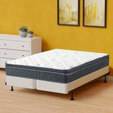 Queen Firm 16" Foam Mattress - Alwyn Home Alibi 12-Inch Medium Cooling EuroTop Pocket Coil Bed In A Box w/ Split Spring | 80 H x 60 W 16 D in Wayfair