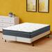 Queen Firm 16" Foam Mattress - Alwyn Home Alibi 12-Inch Medium Cooling EuroTop Pocket Coil Bed In A Box w/ Split Spring | 80 H x 60 W 16 D in Wayfair