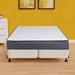 Twin Firm 9" Hybrid Mattress - Spinal Solution Krause Pocket Coil Medium Back Support w/Wood Box Spring, White | 80 H x 76 W 13 D in Wayfair