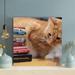 Red Barrel Studio® Orange Tabby Cat On Books - 1 Piece Square Graphic Art Print On Wrapped Canvas in Black/Brown | 32 H x 32 W x 2 D in | Wayfair