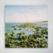 Rosecliff Heights Green Plants On Sea Shore During Daytime - 1 Piece Rectangle Graphic Art Print On Wrapped Canvas in Blue/Green | Wayfair