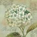 One Allium Way® Voyage Romantique II Canvas, Cotton | 12 H x 12 W x 1.25 D in | Wayfair EA82366403DA456F8DEA485D537F2EBA