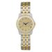 Women's Gold/Silver FIU Panthers Two-Tone Medallion Wristwatch