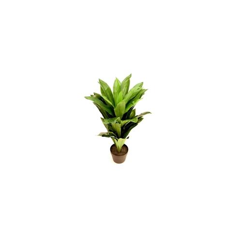 Kunstpflanze Topfpflanze Zimmerpflanze Künstlich Dracaena grün H 75