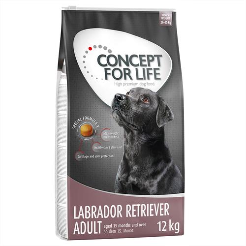 2 x 12kg Adult Labrador Retriever Concept for Life Hundefutter trocken