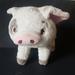 Disney Toys | Disney Moana 10” Pua The Pig Plush Stuffed Animal Toy | Color: Gray/White | Size: Osbb
