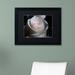 Ophelia & Co. Loyal Star by Monica Mize - Picture Frame Photograph Print on Canvas Canvas | 16 H x 20 W x 0.5 D in | Wayfair