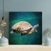 Bayou Breeze Brown & Black Turtle Under Water 9 - 1 Piece Square Graphic Art Print On Wrapped Canvas in Black/Brown | 12 H x 12 W x 2 D in | Wayfair