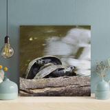 Bayou Breeze Two Grey Turtles On en Trunk - 1 Piece Square Graphic Art Print On Wrapped Canvas - Wrapped Canvas Painting Canvas in Brown | Wayfair