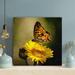 Rosalind Wheeler Brown & Black Butterfly On Yellow Sunflower - Wrapped Canvas Painting Canvas in Green/Yellow | 12 H x 12 W x 2 D in | Wayfair