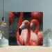 Bayou Breeze Pink Flamingos In Tilt Shift Lens 2 - 1 Piece Square Graphic Art Print On Wrapped Canvas-489 in Orange/White | Wayfair