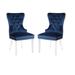 Boyel Dining Chair (Set of 2) - 39.4"H (SH 19") x 21"W x 26.4"D